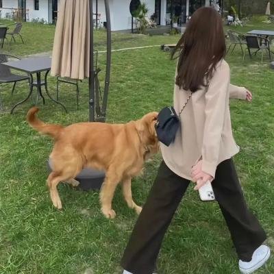妈妈咪呀